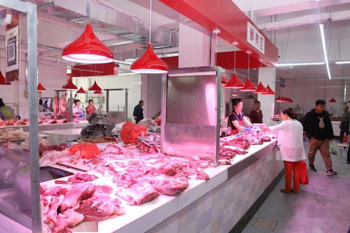 白城市節日市場生活必需品供應充足平穩 食用農產品批發市場運行良好